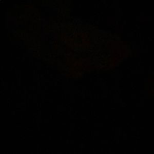 Meet your Posher, Damion